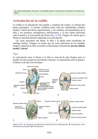 ANATOMIA SNELL 10MA EDICION ESPAÑOL.pdf
