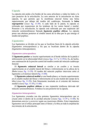 ANATOMIA SNELL 10MA EDICION ESPAÑOL.pdf