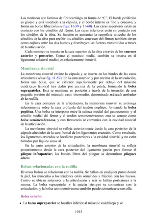 ANATOMIA SNELL 10MA EDICION ESPAÑOL.pdf