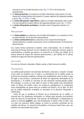 ANATOMIA SNELL 10MA EDICION ESPAÑOL.pdf