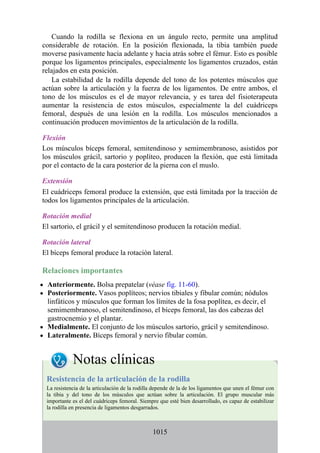 ANATOMIA SNELL 10MA EDICION ESPAÑOL.pdf