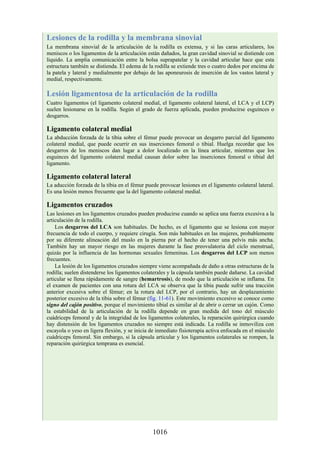 ANATOMIA SNELL 10MA EDICION ESPAÑOL.pdf