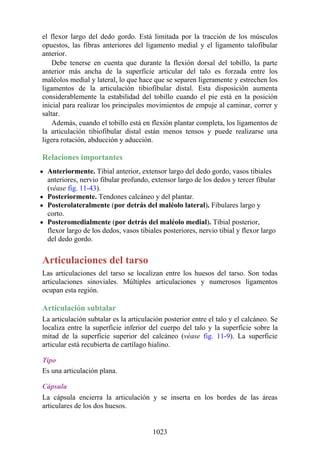 ANATOMIA SNELL 10MA EDICION ESPAÑOL.pdf