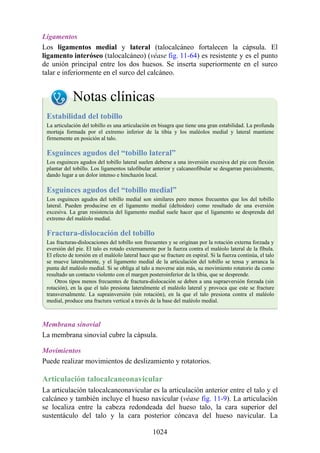 ANATOMIA SNELL 10MA EDICION ESPAÑOL.pdf