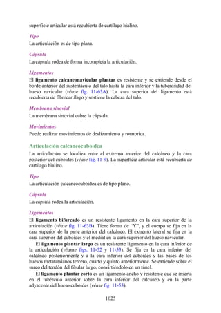 ANATOMIA SNELL 10MA EDICION ESPAÑOL.pdf