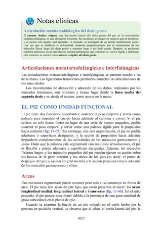 ANATOMIA SNELL 10MA EDICION ESPAÑOL.pdf