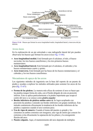 ANATOMIA SNELL 10MA EDICION ESPAÑOL.pdf