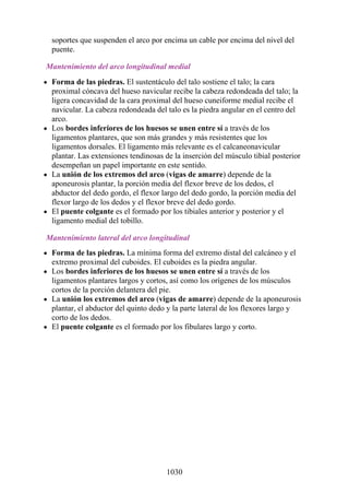 ANATOMIA SNELL 10MA EDICION ESPAÑOL.pdf