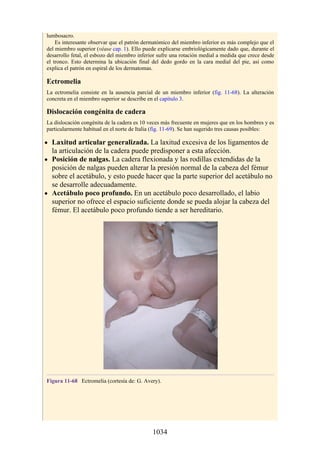 ANATOMIA SNELL 10MA EDICION ESPAÑOL.pdf