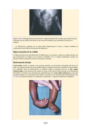 ANATOMIA SNELL 10MA EDICION ESPAÑOL.pdf