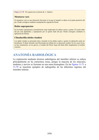 ANATOMIA SNELL 10MA EDICION ESPAÑOL.pdf
