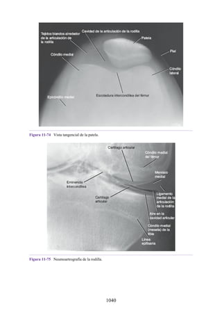 ANATOMIA SNELL 10MA EDICION ESPAÑOL.pdf