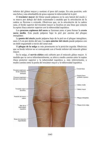 ANATOMIA SNELL 10MA EDICION ESPAÑOL.pdf