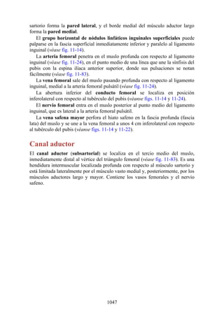 ANATOMIA SNELL 10MA EDICION ESPAÑOL.pdf