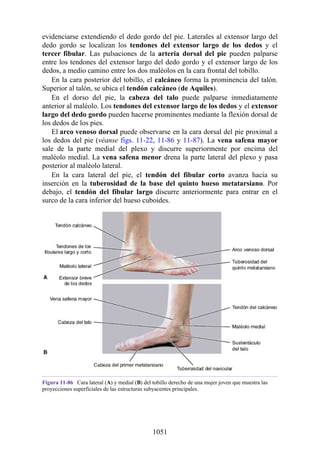 ANATOMIA SNELL 10MA EDICION ESPAÑOL.pdf