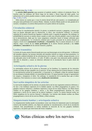 ANATOMIA SNELL 10MA EDICION ESPAÑOL.pdf