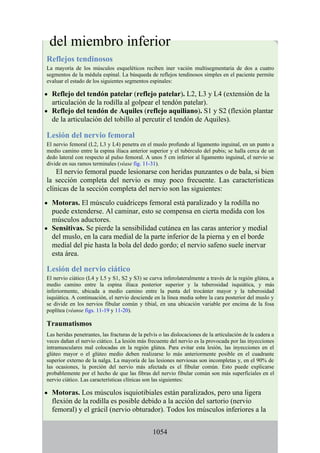 ANATOMIA SNELL 10MA EDICION ESPAÑOL.pdf