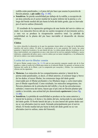 ANATOMIA SNELL 10MA EDICION ESPAÑOL.pdf