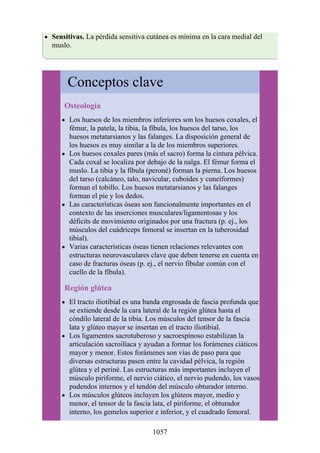 ANATOMIA SNELL 10MA EDICION ESPAÑOL.pdf