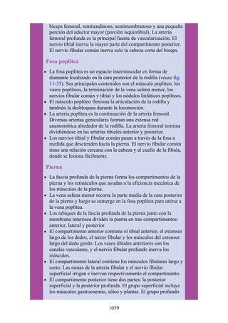 ANATOMIA SNELL 10MA EDICION ESPAÑOL.pdf