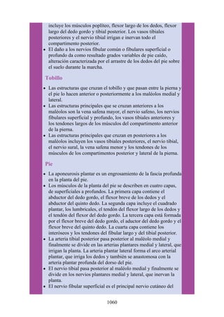 ANATOMIA SNELL 10MA EDICION ESPAÑOL.pdf