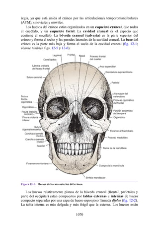 ANATOMIA SNELL 10MA EDICION ESPAÑOL.pdf