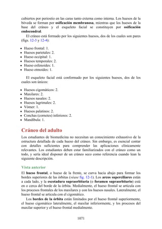 ANATOMIA SNELL 10MA EDICION ESPAÑOL.pdf