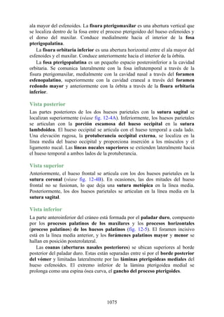 ANATOMIA SNELL 10MA EDICION ESPAÑOL.pdf
