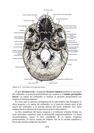 ANATOMIA SNELL 10MA EDICION ESPAÑOL.pdf