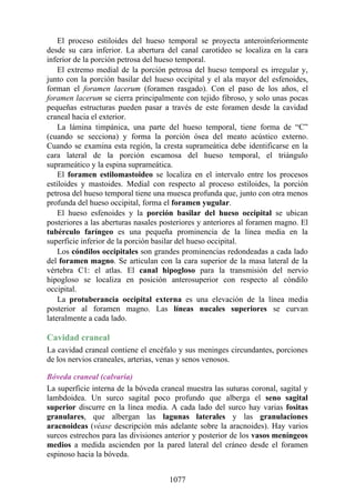 ANATOMIA SNELL 10MA EDICION ESPAÑOL.pdf