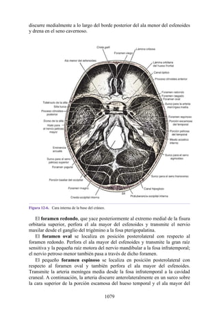 ANATOMIA SNELL 10MA EDICION ESPAÑOL.pdf