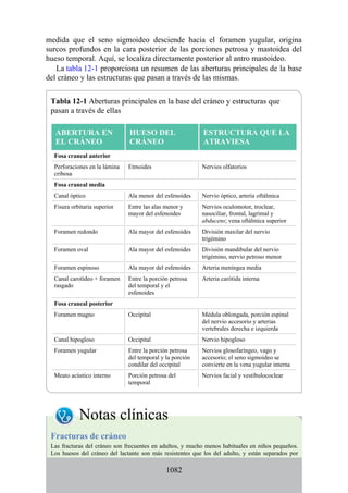 ANATOMIA SNELL 10MA EDICION ESPAÑOL.pdf