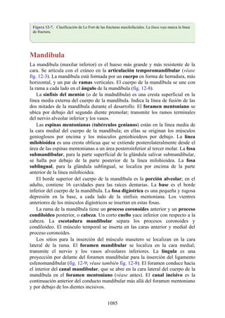 ANATOMIA SNELL 10MA EDICION ESPAÑOL.pdf