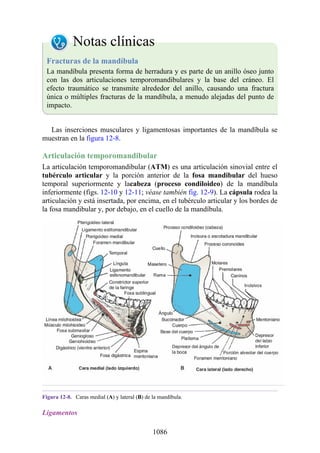 ANATOMIA SNELL 10MA EDICION ESPAÑOL.pdf