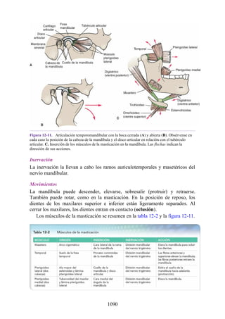 ANATOMIA SNELL 10MA EDICION ESPAÑOL.pdf