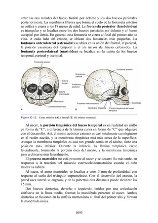 ANATOMIA SNELL 10MA EDICION ESPAÑOL.pdf