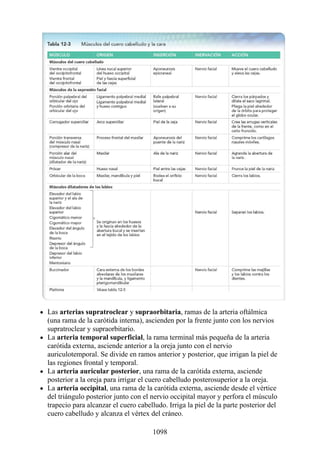 ANATOMIA SNELL 10MA EDICION ESPAÑOL.pdf