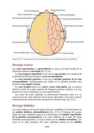 ANATOMIA SNELL 10MA EDICION ESPAÑOL.pdf