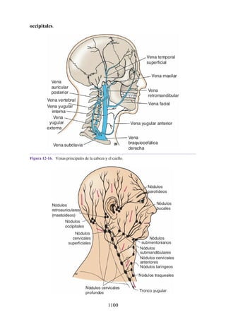ANATOMIA SNELL 10MA EDICION ESPAÑOL.pdf