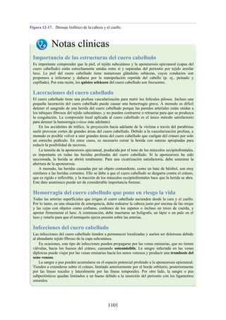 ANATOMIA SNELL 10MA EDICION ESPAÑOL.pdf