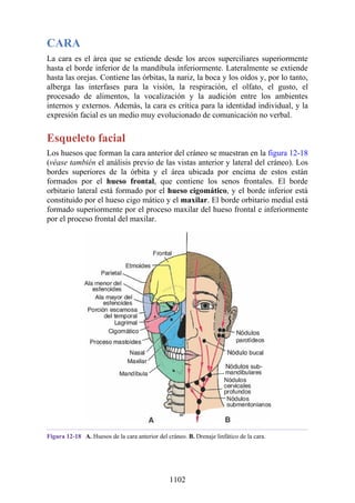 ANATOMIA SNELL 10MA EDICION ESPAÑOL.pdf
