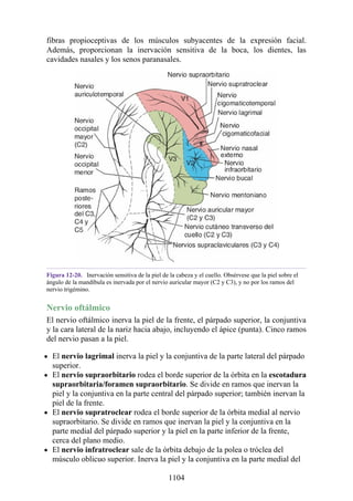 ANATOMIA SNELL 10MA EDICION ESPAÑOL.pdf