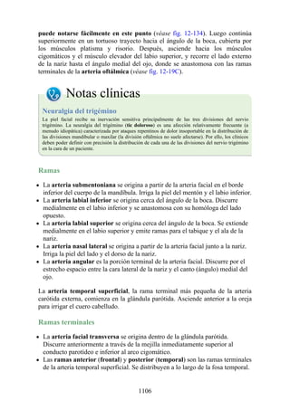 ANATOMIA SNELL 10MA EDICION ESPAÑOL.pdf