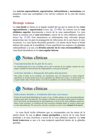 ANATOMIA SNELL 10MA EDICION ESPAÑOL.pdf