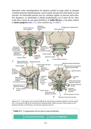 funcionen como amortiguadores de impacto cuando la carga sobre la columna
vertebral aumenta repentinamente, como cuando una persona salta desde un sitio
elevado. Su elasticidad permite que las vértebras rígidas se muevan entre ellas.
Por desgracia, su elasticidad se pierde gradualmente con el paso de los años.
Cada disco consta de una parte periférica, el anillo fibroso, y una parte central,
el núcleo pulposo (tabla. 2-3; véase también fig. 2-11B,C).
Figura 2-12 Vista anterior (A) y posterior (B) de las articulaciones atlantooccipitales. Sección sagital
(C) y vista posterior (D) de las articulaciones atlantoaxoideas. Obsérvese que se han retirado el arco
posterior del atlas y las láminas y los procesos espinosos del axis.
Tabla 2-3 Componentes de los discos intervertebrales
NÚCLEO PULPOSO ANILLO FIBROSO
111
 