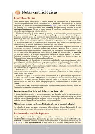 ANATOMIA SNELL 10MA EDICION ESPAÑOL.pdf