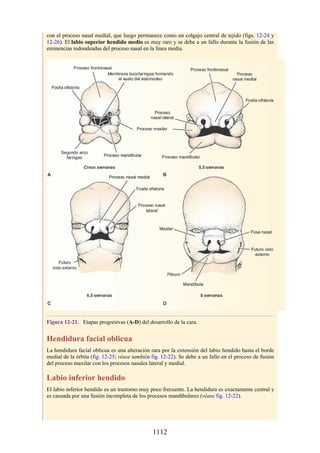 ANATOMIA SNELL 10MA EDICION ESPAÑOL.pdf