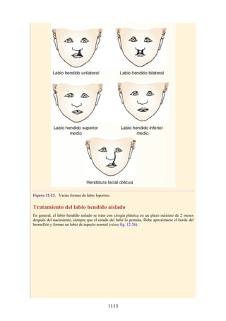 ANATOMIA SNELL 10MA EDICION ESPAÑOL.pdf