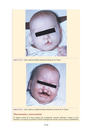 ANATOMIA SNELL 10MA EDICION ESPAÑOL.pdf