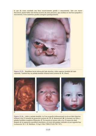 ANATOMIA SNELL 10MA EDICION ESPAÑOL.pdf